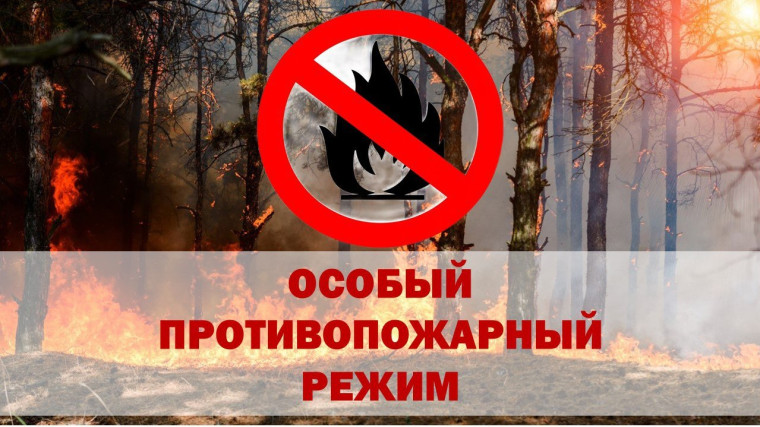 Статья «Особый противопожарный режим: Условия введения, периоды действия, штрафы за нарушение требований».. Статья «Особый противопожарный режим: Условия введения, периоды действия, штрафы за нарушение требований»..