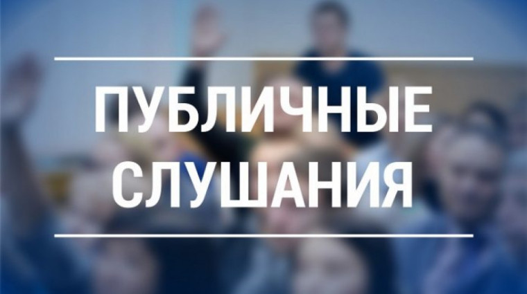 Назначаются публичные слушания. Назначаются публичные слушания.
